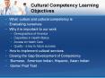 Cultural Competency Learning Objectives PowerPoint PPT Presentation