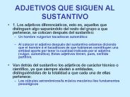 ADJETIVOS QUE SIGUEN AL SUSTANTIVO