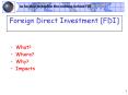 Foreign Direct Investment [FDI] PowerPoint PPT Presentation