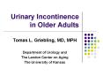 Urinary Incontinence in Older Adults PowerPoint PPT Presentation