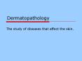 Dermatopathology PowerPoint PPT Presentation