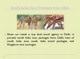South India Tour Packages from Delhi PowerPoint PPT Presentation