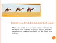 Rajasthan Tour Packages from Delhi PowerPoint PPT Presentation