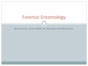 Maggots and Time of Death Estimation
