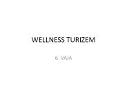 WELLNESS TURIZEM