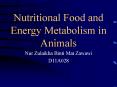 Nutritional Food and Energy Metabolism in Animals PowerPoint PPT Presentation