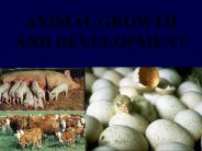 ANIMAL GROWTH AND DEVELOPMENT
