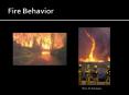 Fire Behavior PowerPoint PPT Presentation