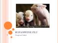 H1N1/SWINE FLU PowerPoint PPT Presentation