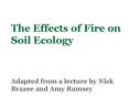 The Effects of Fire on Soil Ecology PowerPoint PPT Presentation