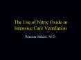 The Use of Nitric Oxide in Intensive Care Ventilation PowerPoint PPT Presentation