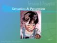Sensation PowerPoint PPT Presentation