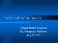 Spine and Spinal Trauma PowerPoint PPT Presentation