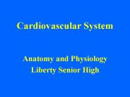 Cardiovascular System