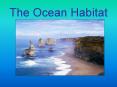 The Ocean Habitat PowerPoint PPT Presentation