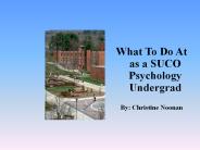 What To Do At as a SUCO Psychology Undergrad