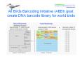 All Birds Barcoding Initiative (ABBI) goal: create DNA barcode library for world birds PowerPoint PPT Presentation