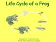 Life Cycle of a Frog PowerPoint PPT Presentation