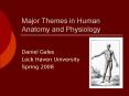 Major Themes in Human Anatomy and Physiology PowerPoint PPT Presentation