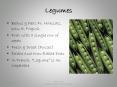 Legumes PowerPoint PPT Presentation