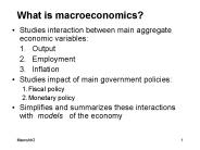 What is macroeconomics?