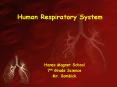 Human Respiratory System PowerPoint PPT Presentation