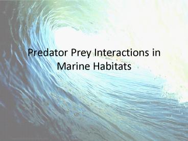Predator Prey Interactions in Marine Habitats