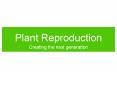 Plant Reproduction PowerPoint PPT Presentation