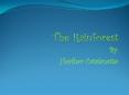 The Rainforest PowerPoint PPT Presentation