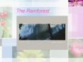 The Rainforest PowerPoint PPT Presentation