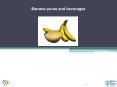 BANANA PUREE AND BEVERAGES PowerPoint PPT Presentation