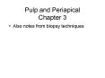 Pulp and Periapical Chapter 3 PowerPoint PPT Presentation