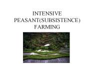 INTENSIVE PEASANT(SUBSISTENCE) FARMING