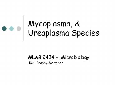 Mycoplasma,