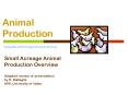 Animal Production PowerPoint PPT Presentation