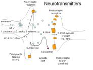 Psychopharmacology