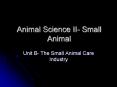 Animal Science II- Small Animal PowerPoint PPT Presentation