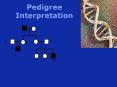 Pedigree Interpretation PowerPoint PPT Presentation