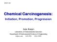 Chemical Carcinogenesis: Initiation, Promotion, Progression PowerPoint PPT Presentation