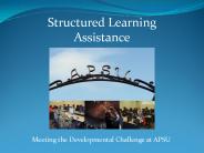 Structured Learning Assistance