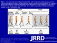 Shorter KA, Kogler GF, Loth E, Durfee WK, Hsiao-Wecksler ET. A portable powered ankle-foot orthosis for rehabilitation. J Rehabil Res Dev. 2011;48(4):459-72. DOI:10.1682/JRRD.2010.04.0054 PowerPoint PPT Presentation