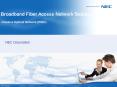 Broadband Fiber Access Network Solution PowerPoint PPT Presentation