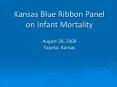 Kansas Blue Ribbon Panel on Infant Mortality August 28, 2009 Topeka, Kansas PowerPoint PPT Presentation