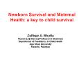 Newborn Survival and Maternal Health: a key to child survival PowerPoint PPT Presentation