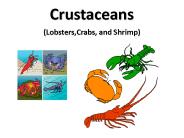 Crustaceans