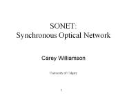 SONET: Synchronous Optical Network