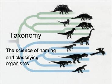 Taxonomy