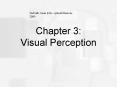 Chapter 3: Visual Perception PowerPoint PPT Presentation