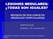 LESIONES MEDULARES: 