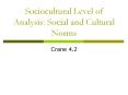 Sociocultural Level of Analysis: Social and Cultural Norms PowerPoint PPT Presentation